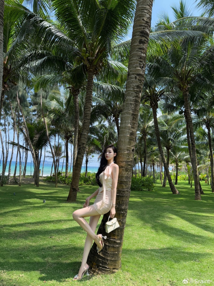 美女 闯入一片椰林 性感美女-第2张